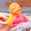 rainbow duck